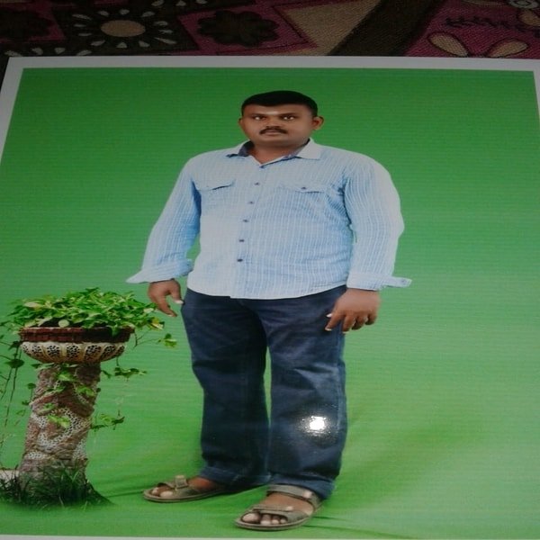 sample