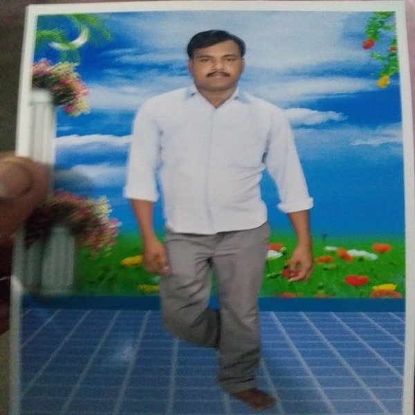 sample
